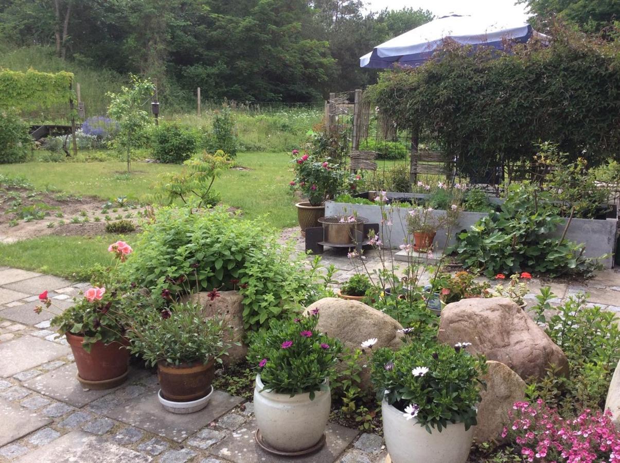 Bergliot Bed & Breakfast Hundested Extérieur photo